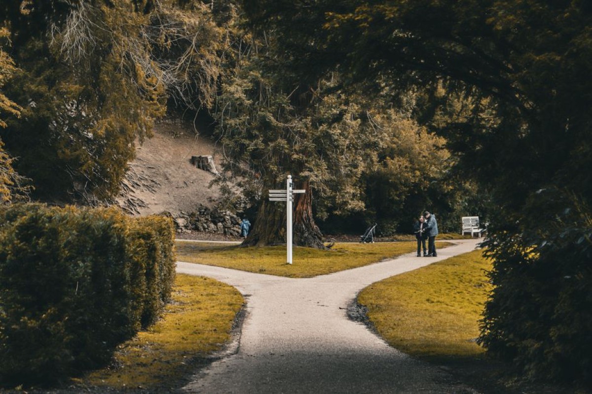 Riskli Davranışlar Ölçeği (RDÖ) — çatallanan yol ve tabela — riskli davranış eğilimleri